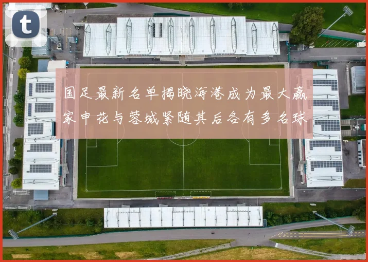 国足最新名单揭晓海港成为最大赢家申花与蓉城紧随其后各有多名球员入选