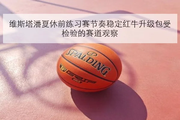 维斯塔潘夏休前练习赛节奏稳定红牛升级包受检验的赛道观察